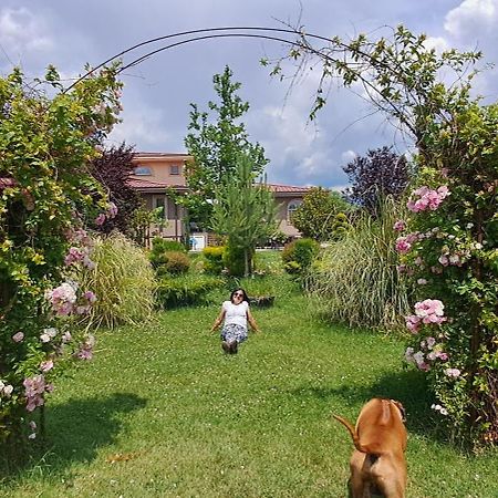 Green Villa Rodna Skopje Ngoại thất bức ảnh